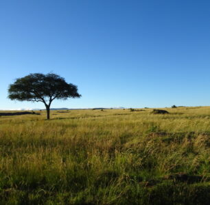 To Be or Not to Be – Work is the Question