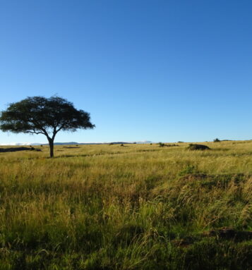 To Be or Not to Be – Work is the Question